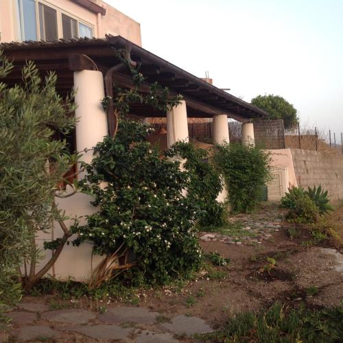 Harmattan – Lipari, WA