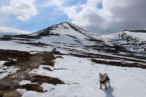 Cairngorm Lodge Youth Hostel - image 14