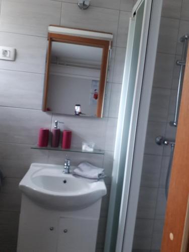 Guest House Tara - image 11