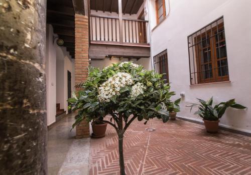 Apartamentos Nahira Suites 3000 - image 7