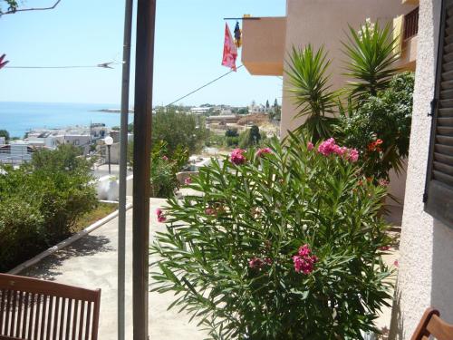 Garden, Villa Victoria in Makris Gialos