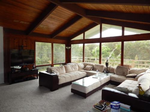 Fern Forest Getaway - image 2