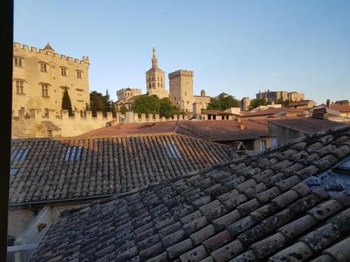 Magnifique duplex vue Palais des Papes pres de Pont d'Avignon Over view