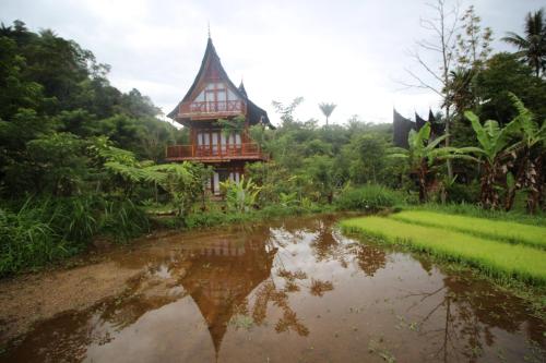 Padi Ecolodge