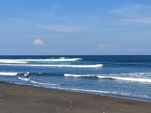 Photo - Gubug Balian Beach Bungalow