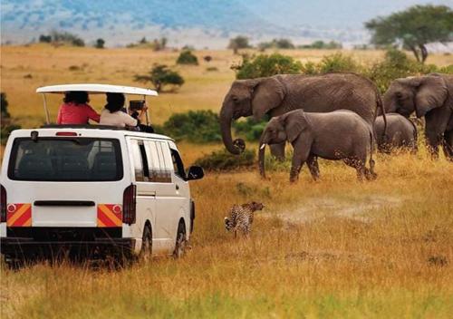 AA Lodge Amboseli