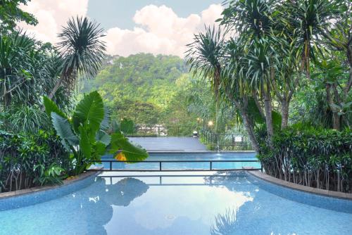 Swimming pool, Oak Tree Emerald Semarang in Semarang