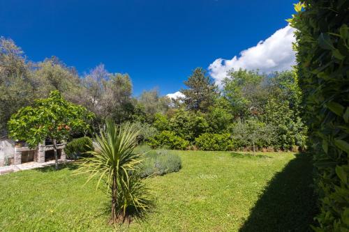 Apartment Josip Malin - image 2