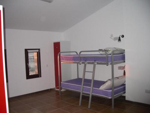 Bunk Bed in Mixed Dormitory Room