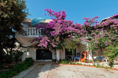  Apartments im Haus Fabio Mandre - CIN04077-CYB in Mandre