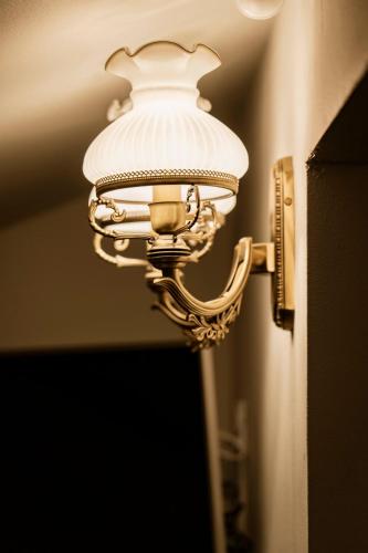 Hotel Villa Roze - image 4