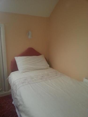 Aran View - Radharc Arainn B&B - image 14