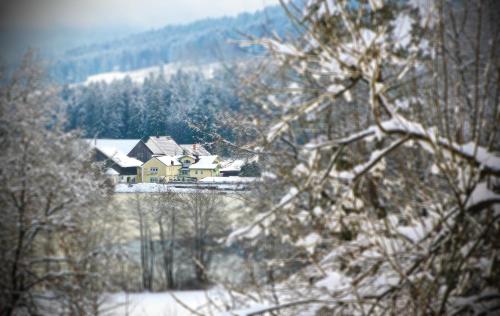 Hotel Der Seehof