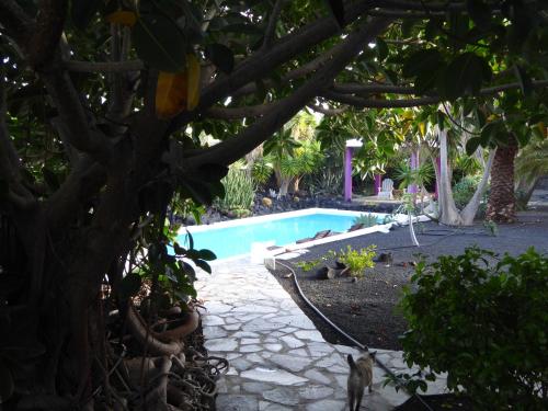 Uitzicht, El Inti 2 in Tinajo