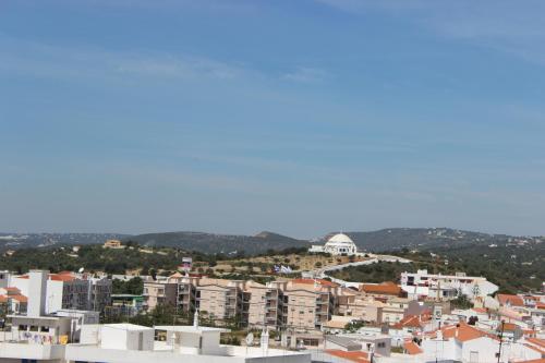 Dom Fernando II - image 11