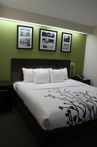 Sleep Inn Bryson City Cherokee - image 6