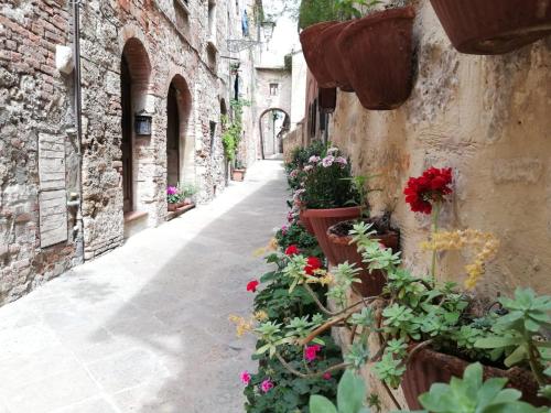  La Casa del Fotografo in Colle di Val d’Elsa