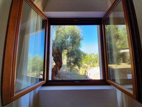 Hotel Delle More - image 5