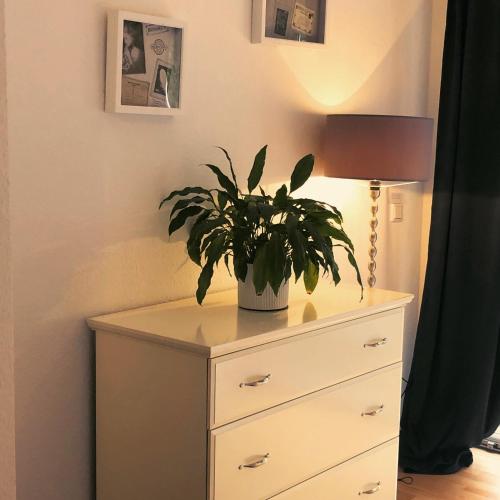 Ferienwohnung Wuppertal Ronsdorf Elias Eller, Wuppertal (foto 6)