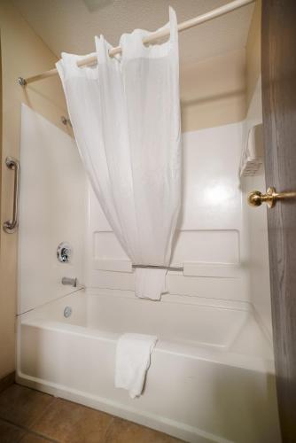 The Stone Castle Hotel & Conference Center in Branson, USA