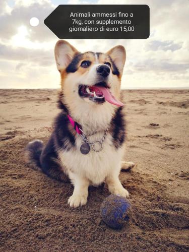 Ricci Hotel - image 5