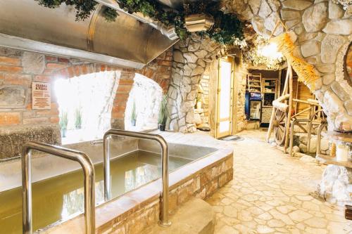 Spa, Грибова хата in Polyanytsya