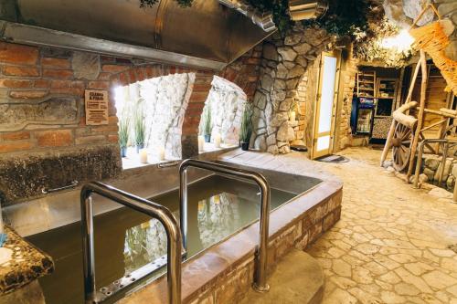Spa, Грибова хата in Polyanytsya