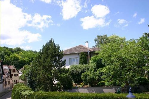 Meuble du vignoble - Piscine - Sauna - proche Strasbourg - Classe 3 etoiles