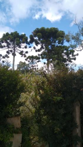 Recanto das Videiras