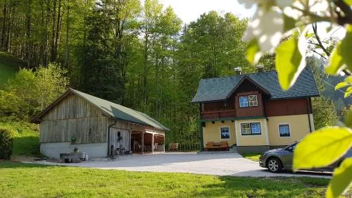 Ferienhaus Schlossblick in Landl, Österreich