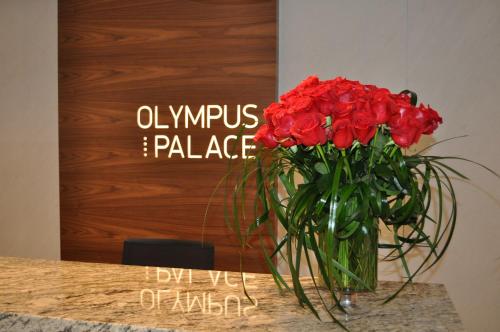 Hotel Olympus Palace - image 3