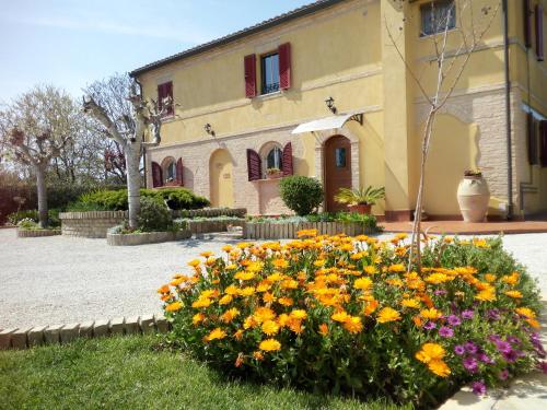  A Casa Di Pici, Unterkunft in Porto Potenza Picena
