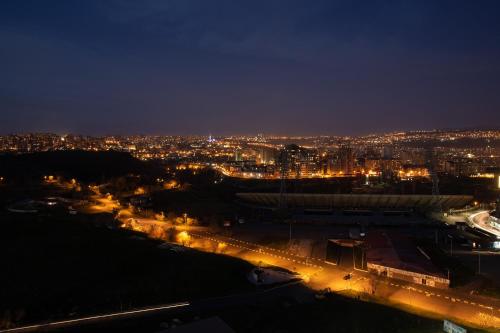 RIS Dalma Collection Yerevan - image 2