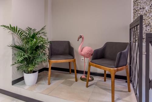 APARTHOTEL CASA MIA - image 13