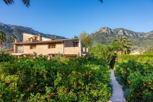 Finca Ca's Curial - Agroturismo - Adults Only