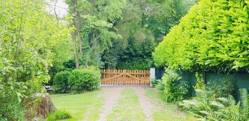  Le Bois Dormant ⭐️ in Basse Bruyère