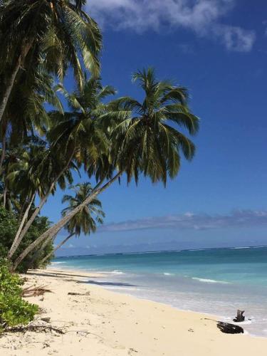 Arthur Homestay Telescope Mentawai in Illa Mentawai
