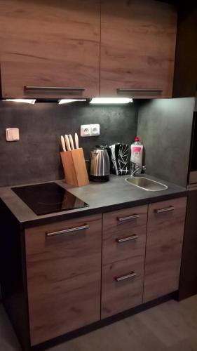 Kjøkken, Třeboň apartmán 2+kk (Trebon apartman 2+kk) in Trebon sentrum