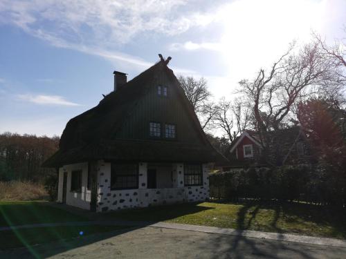 Darßer Strandgut - Haus Butzek, Ahrenshoop (photo 4)