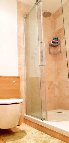 Covent Garden Penthouse - image 10