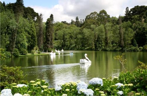 Suíte Lago Negro