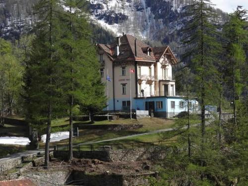  Villa Pineta in 6696 Fusio