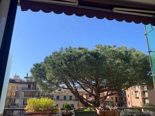 Betti 21, Rapallo (Foto 2)