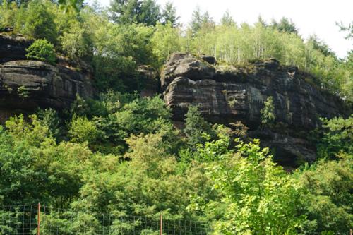 Camping du Plan Incliné photo 19