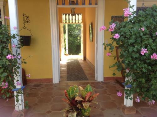 FINCA CAJA DE ORO, FREDONIA