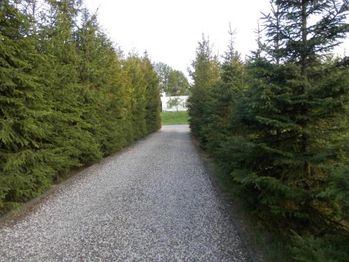 外部景觀, Gościniec Suwalska (Gosciniec Suwalska) in 戈烏達普