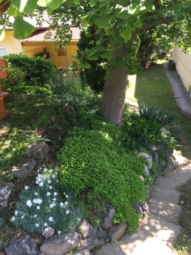 Bogoly Apartman - image 12