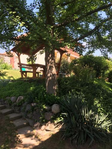 Bogoly Apartman - image 8