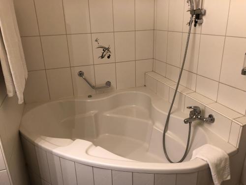 SASS APARTHOTEL - image 10