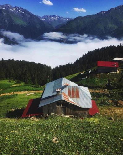  Gito Dağ Evi, Pension in Rize